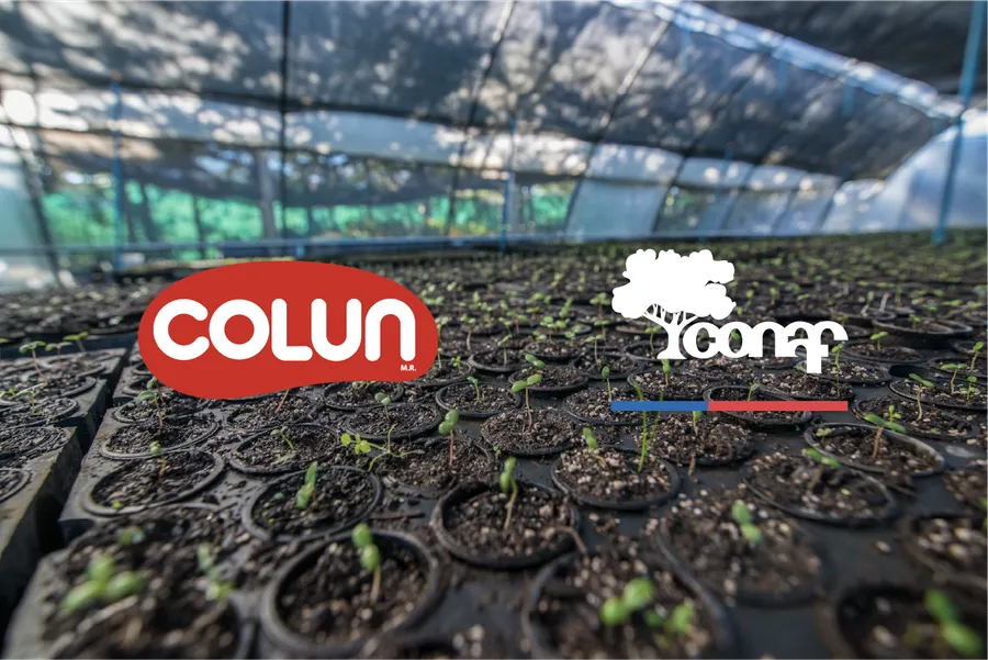 CONVENIO COLUN-CONAF